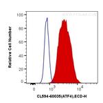 ATF4 Antibody in Flow Cytometry (Flow)