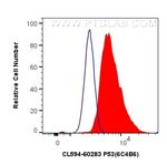 P53 Antibody in Flow Cytometry (Flow)