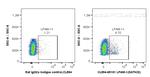 LPAM-1 Antibody in Flow Cytometry (Flow)