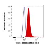 beta Actin Antibody in Flow Cytometry (Flow)