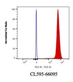 Lamin B1 Antibody in Flow Cytometry (Flow)