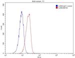 CD146/MCAM Antibody in Flow Cytometry (Flow)