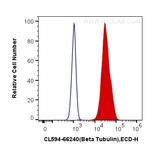 beta Tubulin Antibody in Flow Cytometry (Flow)