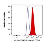 Annexin V Antibody in Flow Cytometry (Flow)