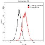 CDK6 Antibody in Flow Cytometry (Flow)