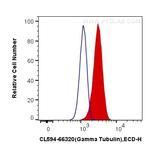 gamma tubulin Antibody in Flow Cytometry (Flow)