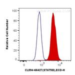 STAT5B Antibody in Flow Cytometry (Flow)