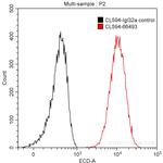 PKC iota Antibody in Flow Cytometry (Flow)