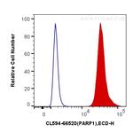 PARP1 Antibody in Flow Cytometry (Flow)