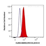 XRCC2 Antibody in Flow Cytometry (Flow)