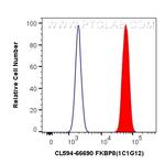 FKBP8 Antibody in Flow Cytometry (Flow)