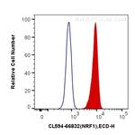 NRF1 Antibody in Flow Cytometry (Flow)