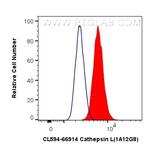 Cathepsin L Antibody in Flow Cytometry (Flow)