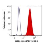 CTBP1 Antibody in Flow Cytometry (Flow)