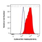 RAB2A Antibody in Flow Cytometry (Flow)