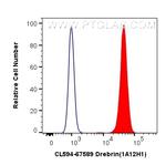 Drebrin Antibody in Flow Cytometry (Flow)