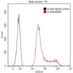 GFP tag Antibody in Flow Cytometry (Flow)