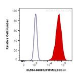 IFITM2/3 Antibody in Flow Cytometry (Flow)