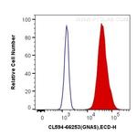 GNAS Antibody in Flow Cytometry (Flow)