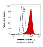 Phospho-AKT (Ser473) Antibody in Flow Cytometry (Flow)