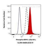 Phospho-RIPK1 (Ser161) Antibody in Flow Cytometry (Flow)