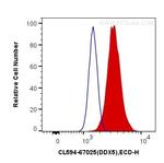 DDX5 Antibody in Flow Cytometry (Flow)