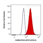 ATG7 Antibody in Flow Cytometry (Flow)