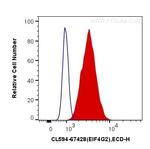 eIF4G2/DAP5 Antibody in Flow Cytometry (Flow)