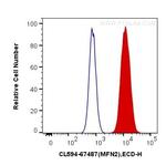 MFN2 Antibody in Flow Cytometry (Flow)