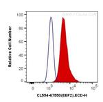 EEF2 Antibody in Flow Cytometry (Flow)