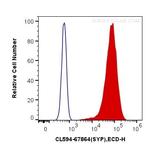 Synaptophysin Antibody in Flow Cytometry (Flow)