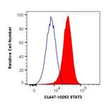 STAT3 Antibody in Flow Cytometry (Flow)