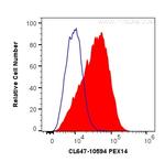 PEX14 Antibody in Flow Cytometry (Flow)