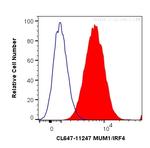 MUM1/IRF4 Antibody in Flow Cytometry (Flow)