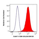 GOLGA2/GM130 Antibody in Flow Cytometry (Flow)