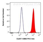 PKC Iota Antibody in Flow Cytometry (Flow)