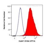 CPT1A Antibody in Flow Cytometry (Flow)