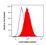 GAPDH Antibody in Flow Cytometry (Flow)