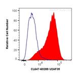 U2AF35 Antibody in Flow Cytometry (Flow)