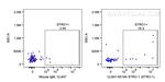 STRO-1 Antibody in Flow Cytometry (Flow)