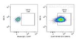 CD13 Antibody in Flow Cytometry (Flow)