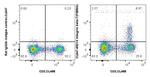 Integrin beta-7 Antibody in Flow Cytometry (Flow)