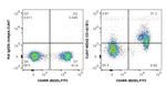 CD1d Antibody in Flow Cytometry (Flow)