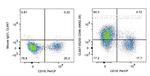 CD96 Antibody in Flow Cytometry (Flow)