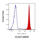 Lamin B1 Antibody in Flow Cytometry (Flow)