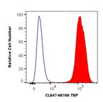 TBP Antibody in Flow Cytometry (Flow)