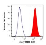 GNAS Antibody in Flow Cytometry (Flow)