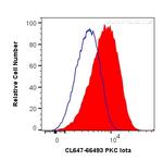 PKC Iota Antibody in Flow Cytometry (Flow)