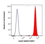 PARP1 Antibody in Flow Cytometry (Flow)