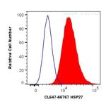 HSP27 Antibody in Flow Cytometry (Flow)